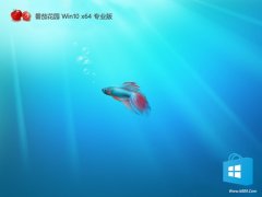 ѻ԰win1064λ㾫ѡv2025.12