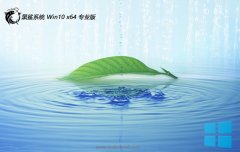 ϵͳwin1064λv2025.12