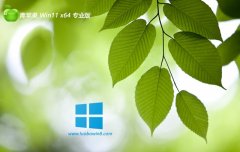 ƻϵͳ64λwin11ʼǱٰv2025.12